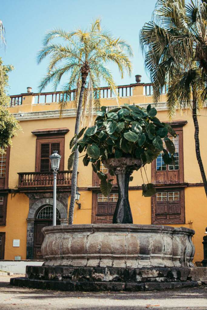 Icod_de_los_vinos_-_Casa_Cactus